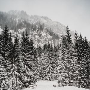 Preview wallpaper trees, snow, mountain, winter, blizzard