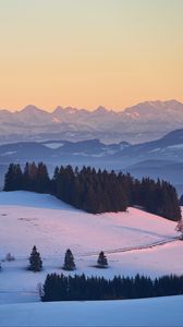 Preview wallpaper trees, snow, mountains, distance