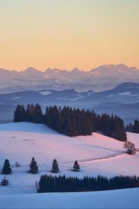 Preview wallpaper trees, snow, mountains, distance