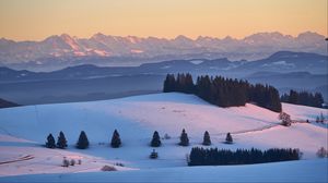 Preview wallpaper trees, snow, mountains, distance