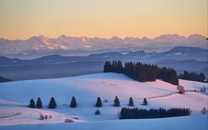 Preview wallpaper trees, snow, mountains, distance