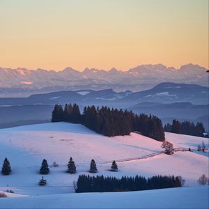 Preview wallpaper trees, snow, mountains, distance