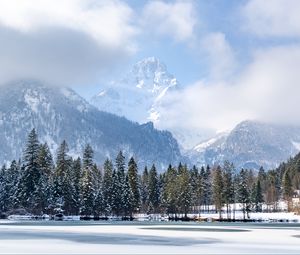 Preview wallpaper trees, snow, mountains, winter, nature