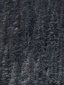 Preview wallpaper trees, snow, peaks, forest