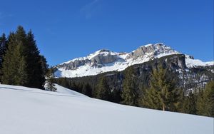 Preview wallpaper trees, snow, rock, nature