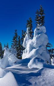 Preview wallpaper trees, snow, snowdrifts, winter, nature