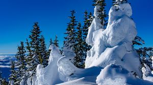 Preview wallpaper trees, snow, snowdrifts, winter, nature
