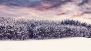 Preview wallpaper trees, snow, snowy, winter, forest