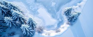 Preview wallpaper trees, snow, spruces, winter, aerial view