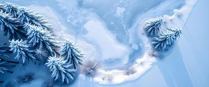 Preview wallpaper trees, snow, spruces, winter, aerial view