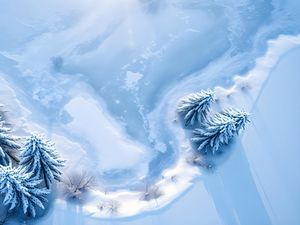 Preview wallpaper trees, snow, spruces, winter, aerial view