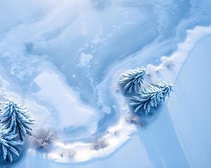 Preview wallpaper trees, snow, spruces, winter, aerial view