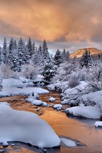 Preview wallpaper trees, snow, stream, winter, nature