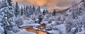 Preview wallpaper trees, snow, stream, winter, nature