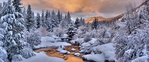 Preview wallpaper trees, snow, stream, winter, nature
