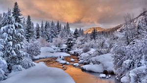 Preview wallpaper trees, snow, stream, winter, nature