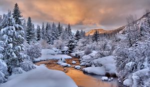 Preview wallpaper trees, snow, stream, winter, nature