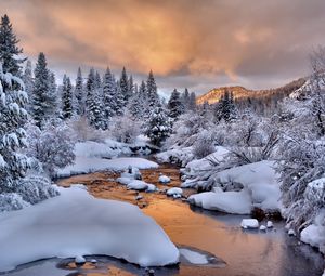 Preview wallpaper trees, snow, stream, winter, nature