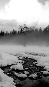 Preview wallpaper trees, snow, thawed patches, fog, black and white