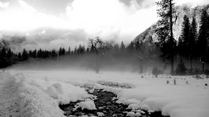 Preview wallpaper trees, snow, thawed patches, fog, black and white