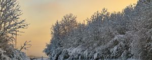 Preview wallpaper trees, snow, winter, nature, landscape, white