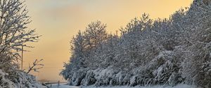 Preview wallpaper trees, snow, winter, nature, landscape, white