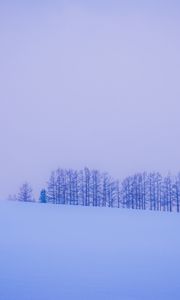 Preview wallpaper trees, snow, winter, minimalism, horizon