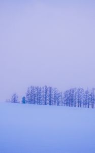 Preview wallpaper trees, snow, winter, minimalism, horizon