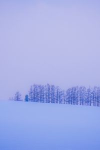 Preview wallpaper trees, snow, winter, minimalism, horizon