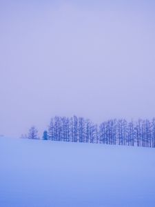 Preview wallpaper trees, snow, winter, minimalism, horizon