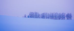 Preview wallpaper trees, snow, winter, minimalism, horizon