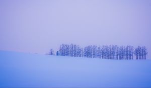 Preview wallpaper trees, snow, winter, minimalism, horizon