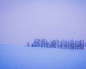 Preview wallpaper trees, snow, winter, minimalism, horizon