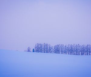 Preview wallpaper trees, snow, winter, minimalism, horizon