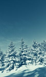 Preview wallpaper trees, snow, winter, snowy, sky