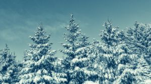 Preview wallpaper trees, snow, winter, snowy, sky