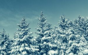Preview wallpaper trees, snow, winter, snowy, sky