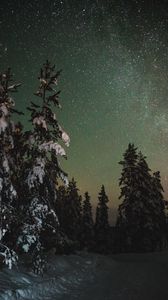 Preview wallpaper trees, snow, winter, starry sky, stars, night