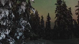 Preview wallpaper trees, snow, winter, starry sky, stars, night