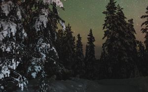 Preview wallpaper trees, snow, winter, starry sky, stars, night