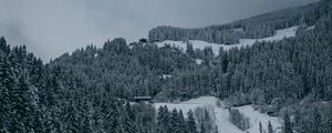 Preview wallpaper trees, snow, winter, snowy, aerial view, forest