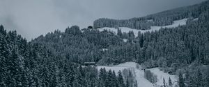 Preview wallpaper trees, snow, winter, snowy, aerial view, forest