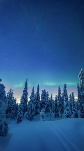 Preview wallpaper trees, snow, winter, night, landscape