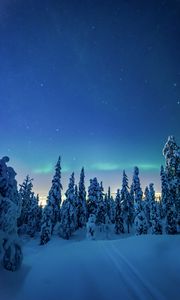 Preview wallpaper trees, snow, winter, night, landscape