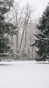 Preview wallpaper trees, snow, winter, landscape
