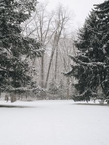 Preview wallpaper trees, snow, winter, landscape