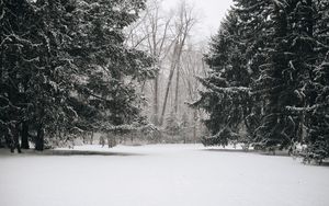 Preview wallpaper trees, snow, winter, landscape