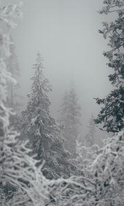 Preview wallpaper trees, snow, winter, blizzard