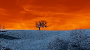 Preview wallpaper trees, snow, winter, nature, twilight