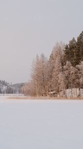 Preview wallpaper trees, snow, winter, nature, landscape
